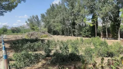 Rustic house in Crevillent photo 18