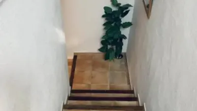 Apartment in Hondón de los Frailes photo 20