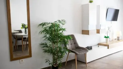 Apartment on Calle San Pascual photo 37