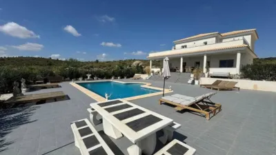 Chalet in El Pinós - Pinoso photo 27