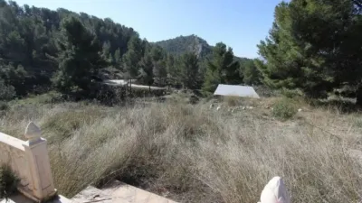 Chalet in Petrer photo 30
