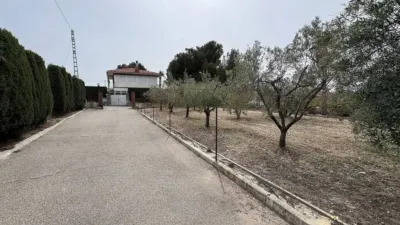Rustic house in Petrer photo 42