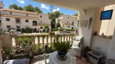 Pis – Orihuela - Vista 5