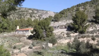 Chalet in Petrer photo 12