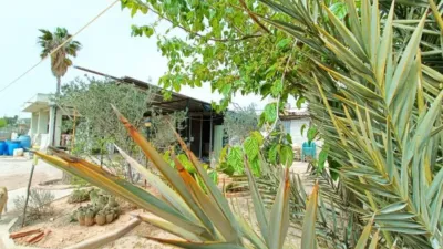 Chalet in Hondón de los Frailes photo 4