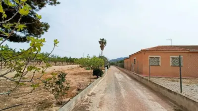Chalet in Hondón de los Frailes photo 8