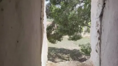 Rustic property in Yecla photo 11