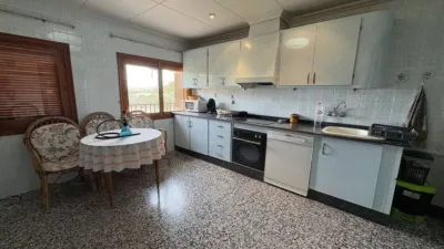 Rustic house in Petrer photo 31