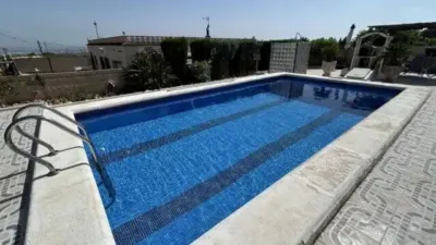 Apartment in Albatera photo 2