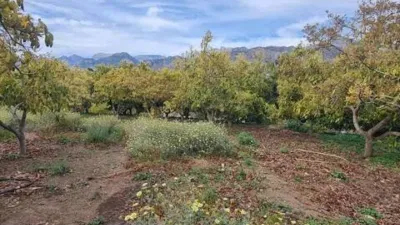 Chalet on Avenida de Pescia-La Noria-Pueblo Rocío photo 18