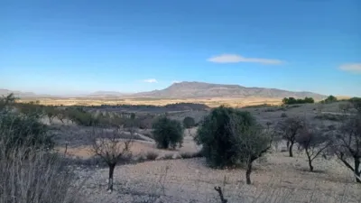 Rustic house in Jumilla photo 7