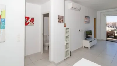 Apartment in Cabo Roig-La Zenia-La Regia photo 12