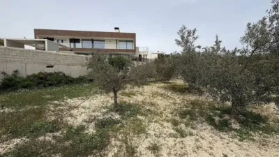 Rustic house in Petrer photo 20