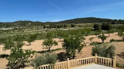 Chalet in El Pinós - Pinoso photo 10