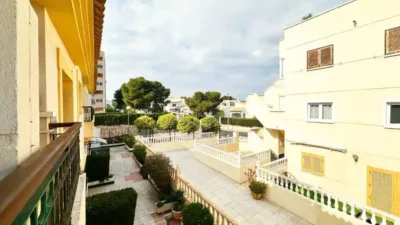 Chalet in Cabo Roig-La Zenia-La Regia photo 37