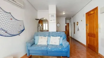 Pis – Torrevieja - Vista 3