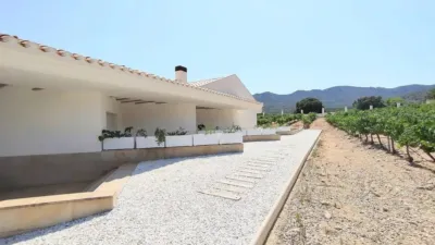 Rustic property in Yecla photo 79