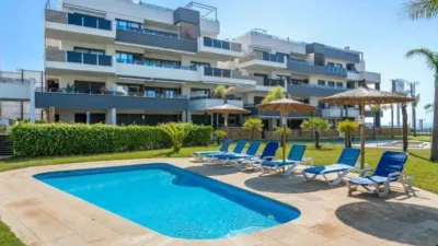 Apartment in Punta Prima-Ciñuelica-Alameda del Mar photo 31