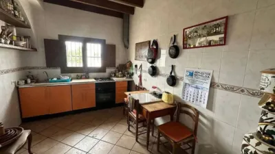 Rustic house in Novelda photo 14