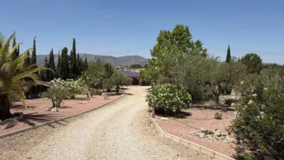 Chalet in Salinas photo 8