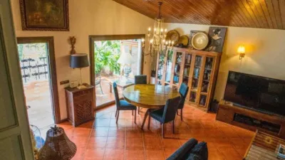 Chalet in Petrer photo 32