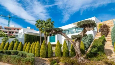 Apartment in Orihuela Costa photo 11