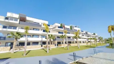 Pis – Orihuela - Vista 5