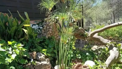 Rustic house in Sax photo 40