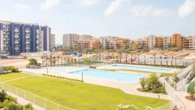 Pis – Torrevieja - Vista 4