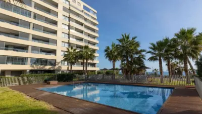 Pis – Torrevieja - Vista 3