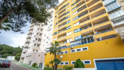 Duplex penthouse in Dehesa de Campoamor-Aguamarina photo 4