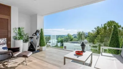 Piso – Orihuela - Vista 3