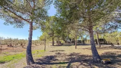 Rustic house in Camarillas photo 50
