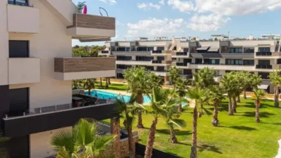 Apartment on Camino de los Almendros photo 19