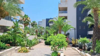 Apartment in Las Filipinas-Villamartín-Canal Norte photo 16