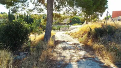 Rustic house in Abanilla photo 2