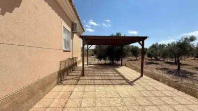 Chalet in Jumilla photo 12