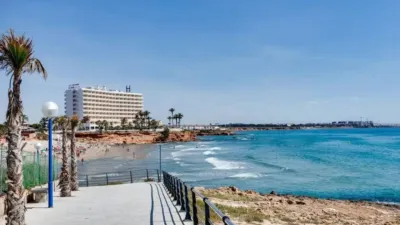 Chalet in Cabo Roig-La Zenia-La Regia photo 50