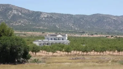 Chalet in El Pinós - Pinoso photo 9