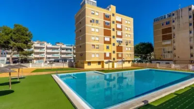 Apartment on Avinguda de les Palmeres photo 3