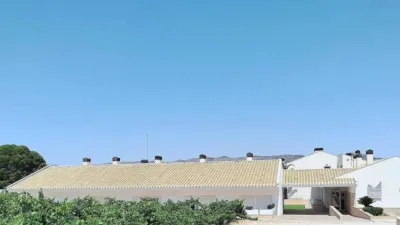 Rustic property in Yecla photo 5