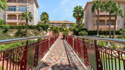 Apartment in Playa Flamenca-Las Piscinas photo 28