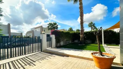 Chalet in Algorfa photo 7