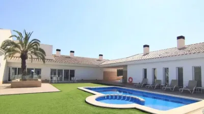 Rustic property in Yecla photo 49
