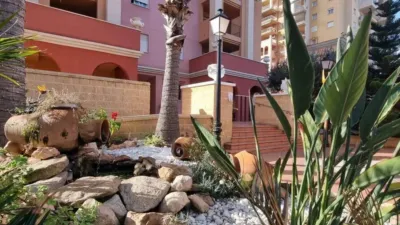 Pis – Torrevieja - Vista 4