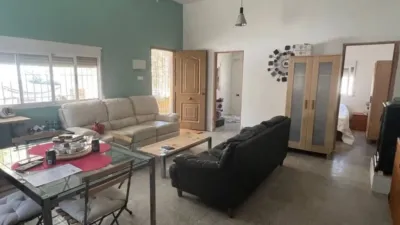 Rustic house in Crevillent photo 17