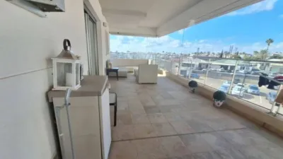 Piso – Orihuela - Vista 3