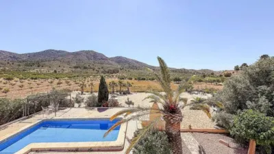 Chalet in Abanilla photo 48