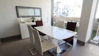 Apartment in Cabo Roig-La Zenia-La Regia photo 12