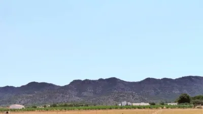 Rustic property in Yecla photo 123